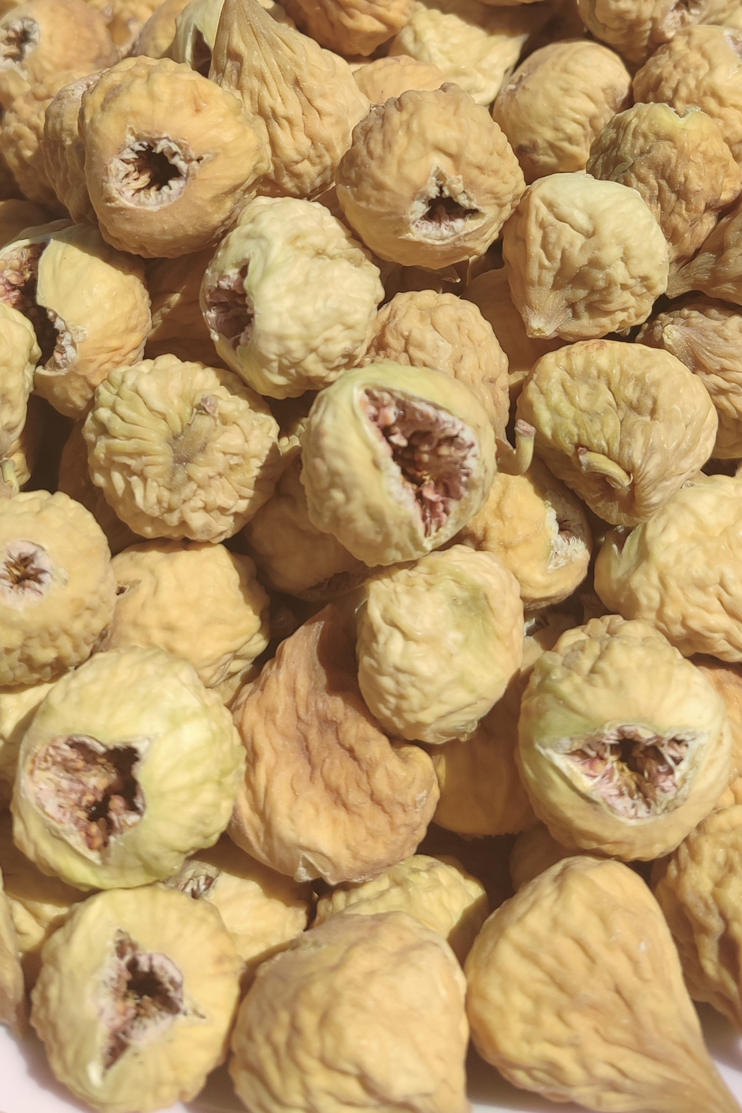 خرید انجیر غنچه درشت استهبان | انجیر غنچه درجه یک